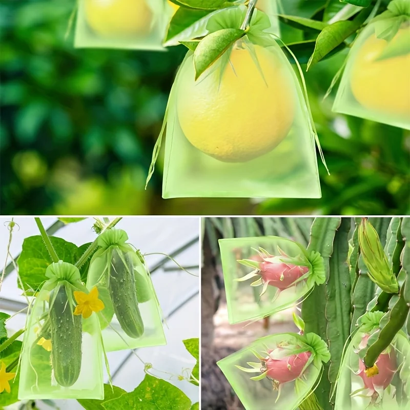 100Pcs Green Protective Bag wi - Smart Home Green ulasan dan harga