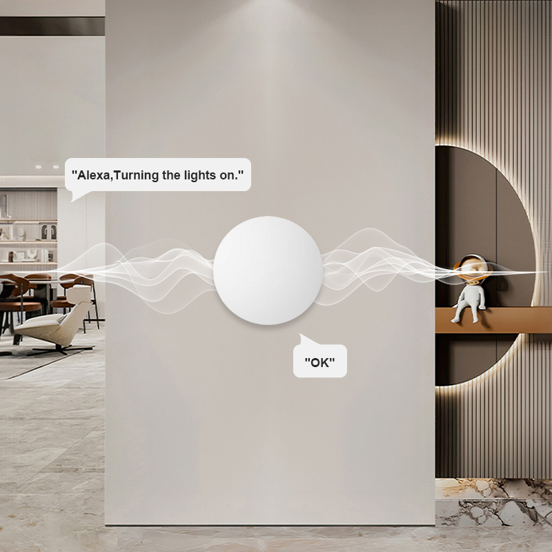 ZigBee Smart Wireless Button S - Smart Home Tools ulasan dan harga