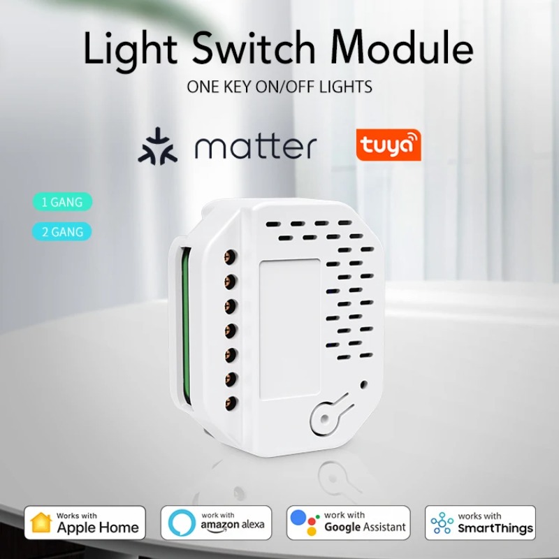 Matter Light Switch Module 2Ga - Smart Home Matter ulasan dan harga